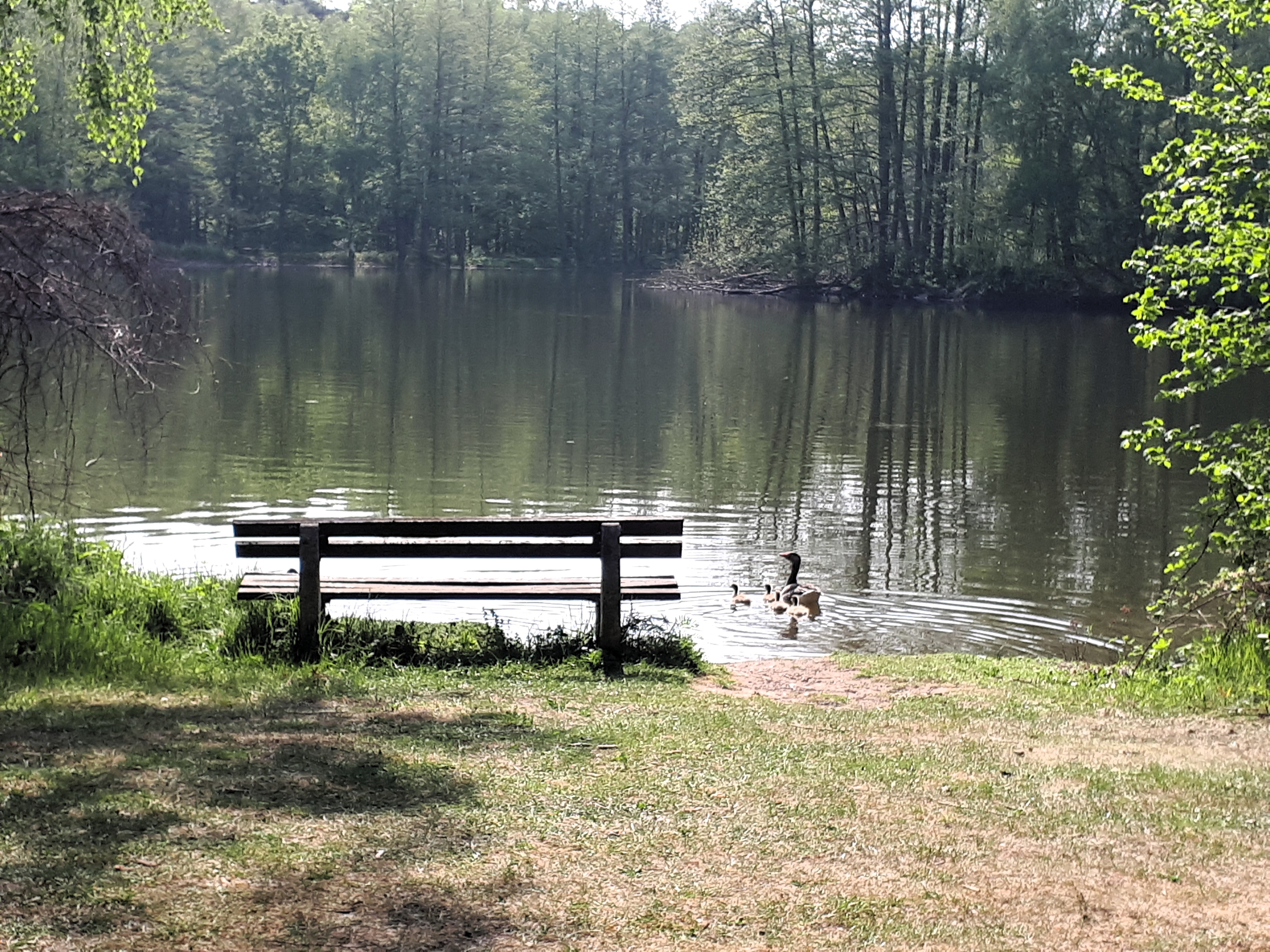 Ruhige Bank am Wasser – Ort der Einkehr